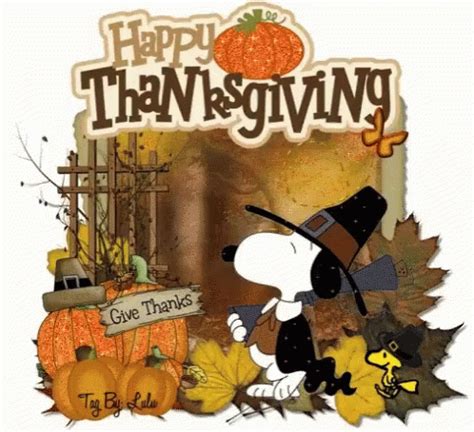 Animated Happy Thanksgiving Gif Images