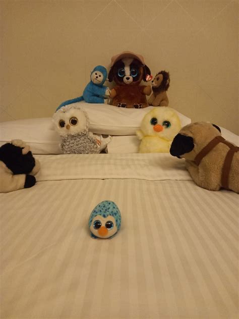 KEYS SELECT BY LEMON TREE HOTELS, WHITEFIELD, BENGALURU - Hotel Reviews ...