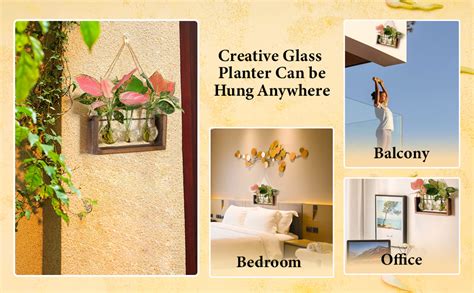 HASTHIP® 3Pcs Hydroponics Glass Planter with Wooden Stand for and Hook ...