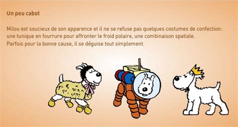 Les Aventures de Tintin - Essentials