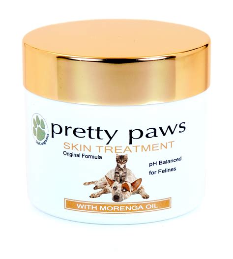 Buy Cat Hot Spot . Pain for Paw Disorders, Dermatitis, Infection, Dry ...