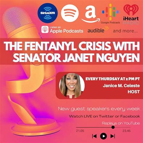 The Fentanyl Solution : Fentanyl Solution: Amazon.in: Audible Books ...