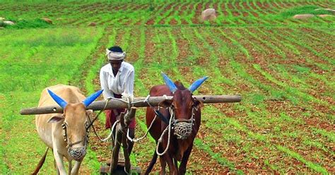 Image result for Farming Simulator 19 Mods.com