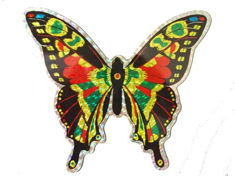 Large Multi Colored Butterfly Door Screen Saver : Amazon.in: Toys & Games