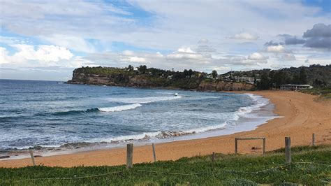 North Avalon Beach | Northern Beaches Council