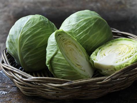 What Is Green Cabbage?