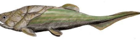 Image result for Fish Stink Meme