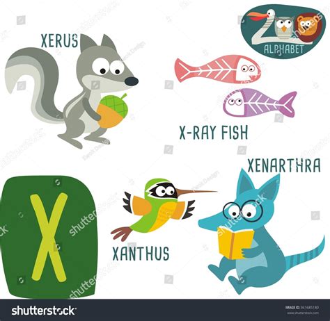 Animals That Start With The Letter X
