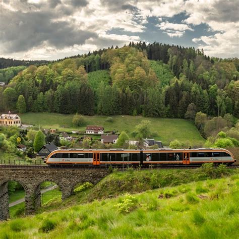 This Artist Creates The Most Realistic Bird Sculptures You've Ever See