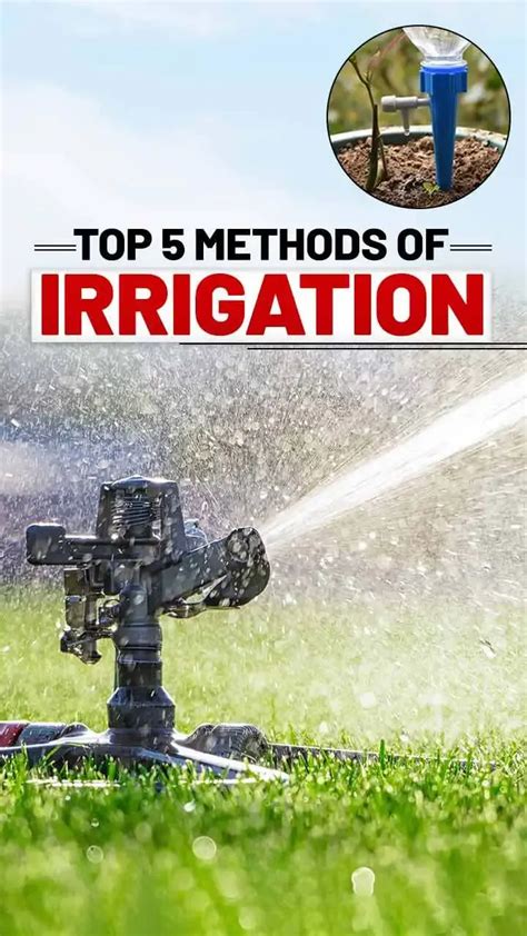Image result for Irrigation Methods