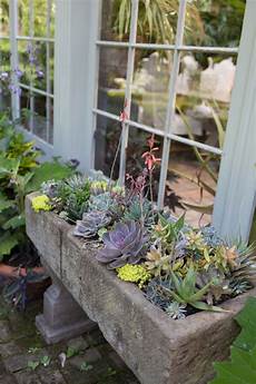 Easy Container Gardens by Easy Diy Gardening Projects If You Don T A Garden Easy Container Gardens