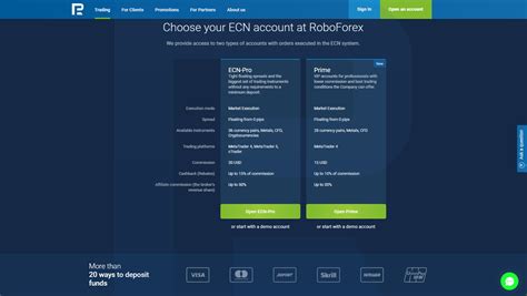 What are ECN Accounts on Forex? - R Blog - RoboForex