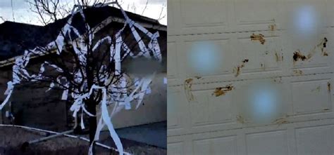 attack: Get Latest Buzz, Updates, Gossip, Photos & Videos