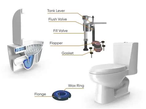 Parts Of A Toilet Components Of A Toilet, 48% OFF
