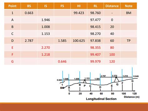 Longitudinal Section and Cross Section 的图像结果