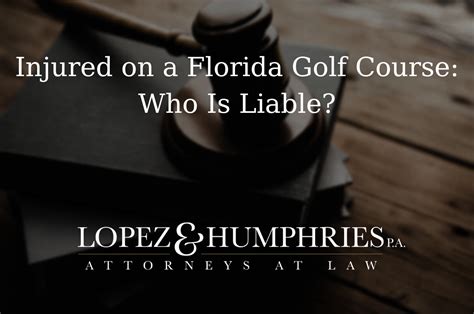 Image result for Florida Liability Insurance Explained