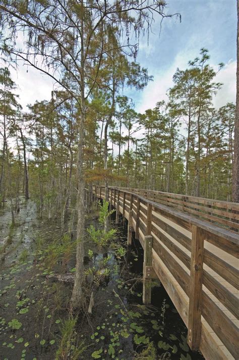 North Collier Regional Park | Collier County Parks & Recreation