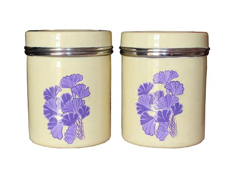 Buy Coromandel Crafts Hand-painted Steel Canisters - Set of 2 - Beige ...