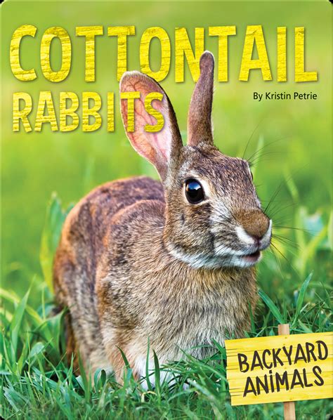 Cottontail Rabbits Book by Kristin Petrie | Epic