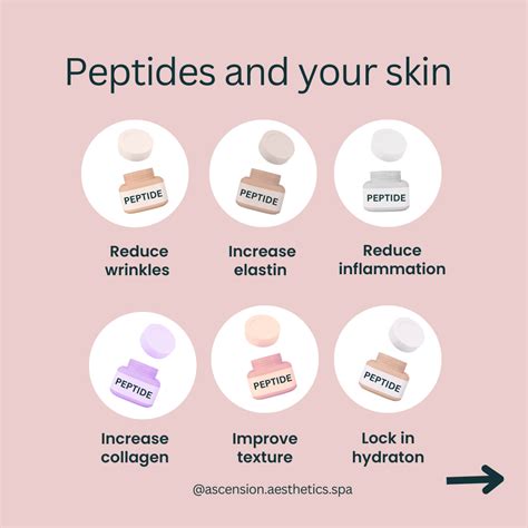 Peptides in skin care… — The Skin Study