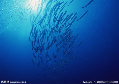 海洋 的图像结果