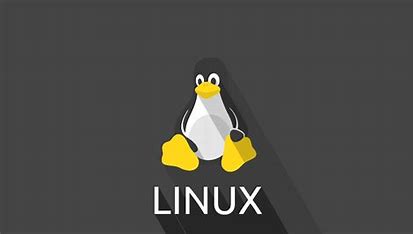 Linux建站主机 的图像结果