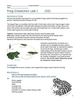 Image result for Dissecting a Frog Lab