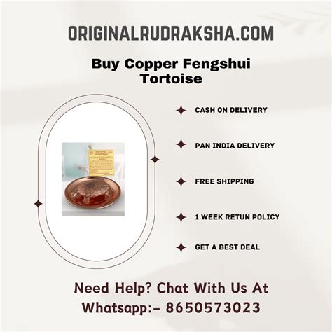 Buy Copper Fengshui Tortoise – Original Rudraksha