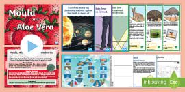 FREE! - 👉 Free Printable Pencils Labels for Classroom Displays