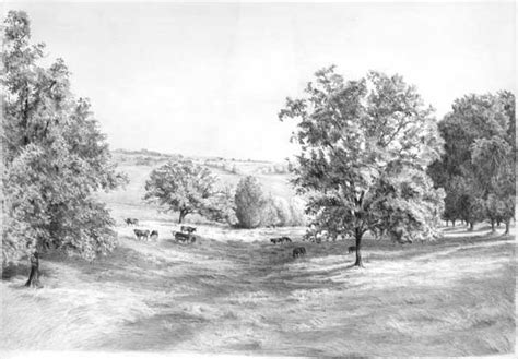 art arena pencil drawing 3d