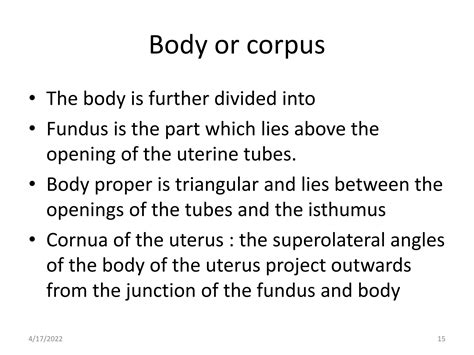 Uterus Anatomy.pptx