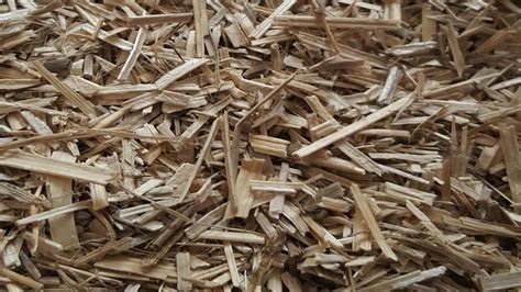 Raw Produce | Himalayan Hemp