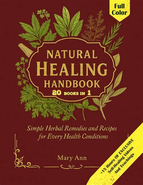 Natural Healing Handbook: Simple Herbal Remedies and Recipes for Every ...