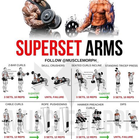 Arm Workouts For Your Biceps at Francis Plante blog