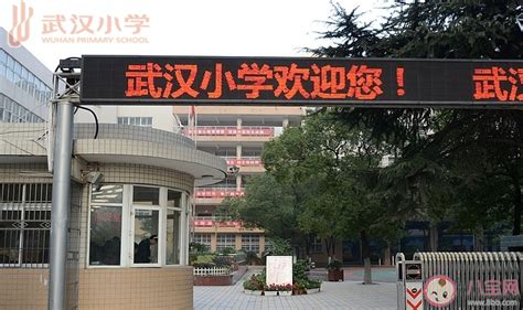 2020武汉市重点小学排名一览表 武汉市重点小学有哪些 _八宝网