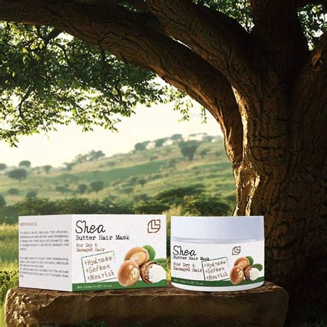 Moisture Shea Butter Hair Mask, Deep Conditioner For Dry Or Damaged ...