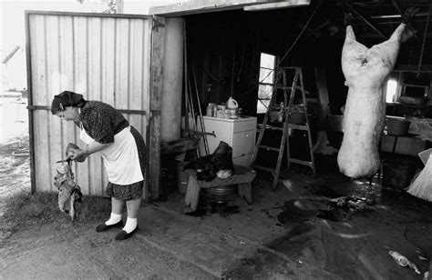 Laura Camden Photography | Mennonites in Texas