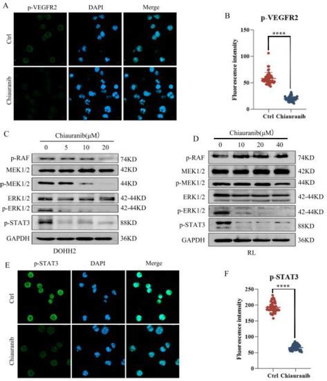 Pharmaceuticals | Special Issue : Vascular Endothelial Growth Factor ...
