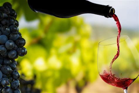 Food Science Courses 的图像结果