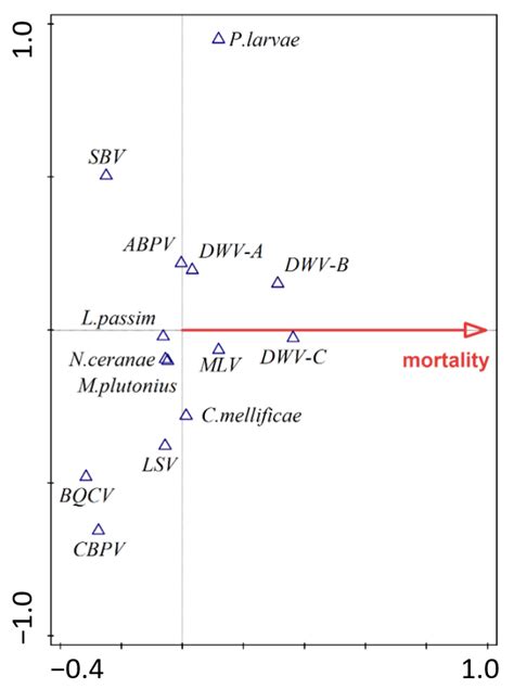 Screening of Honey Bee Pathogens in the Czech Republic and Their ...