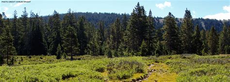 Hullinger Mortuary | Roosevelt UT funeral home and cremation