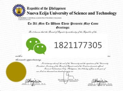 菲律宾国立雷省科技大学毕业证样,Nueva Ecija University of Science and Technology by ...