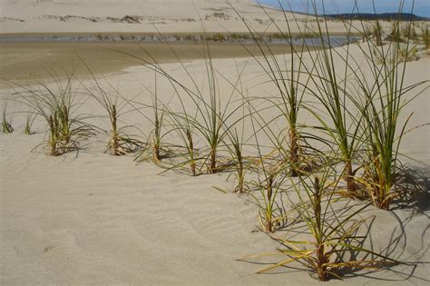 15 Captivating Facts About Christian Kane - Facts.net