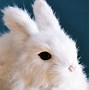 Image result for Sleeping Baby Rabbit Drawing