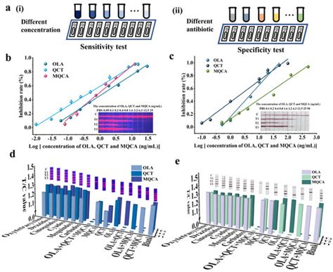 Europium Nanoparticle-Based Lateral Flow Strip Biosensors for the ...