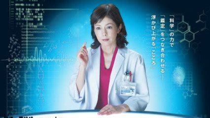 《科搜研之女 第15季》全集-电视剧-免费在线观看