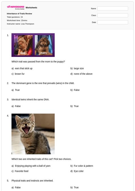 50+ Traits worksheets for Class 4 on Wayground | Free & Printable