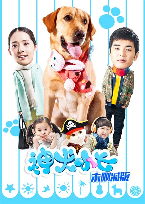 《神犬小七第三季》全集-电视剧-免费在线观看