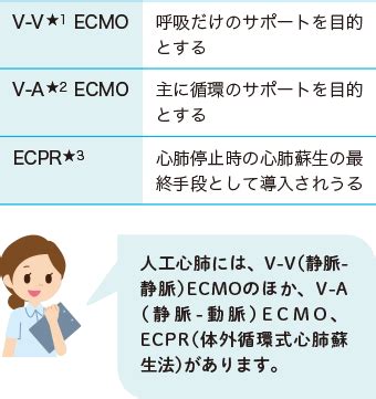 体外式膜型人工肺（ECMO）とは？ | 看護roo![カンゴルー]
