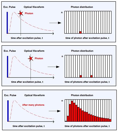 TCSPC Spectroscopy 的图像结果